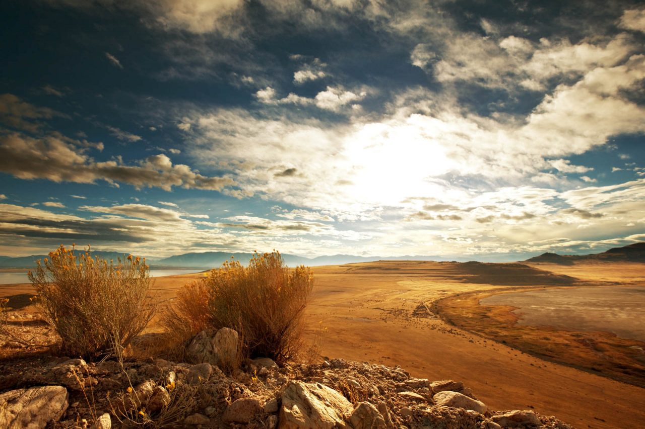 Nature 5